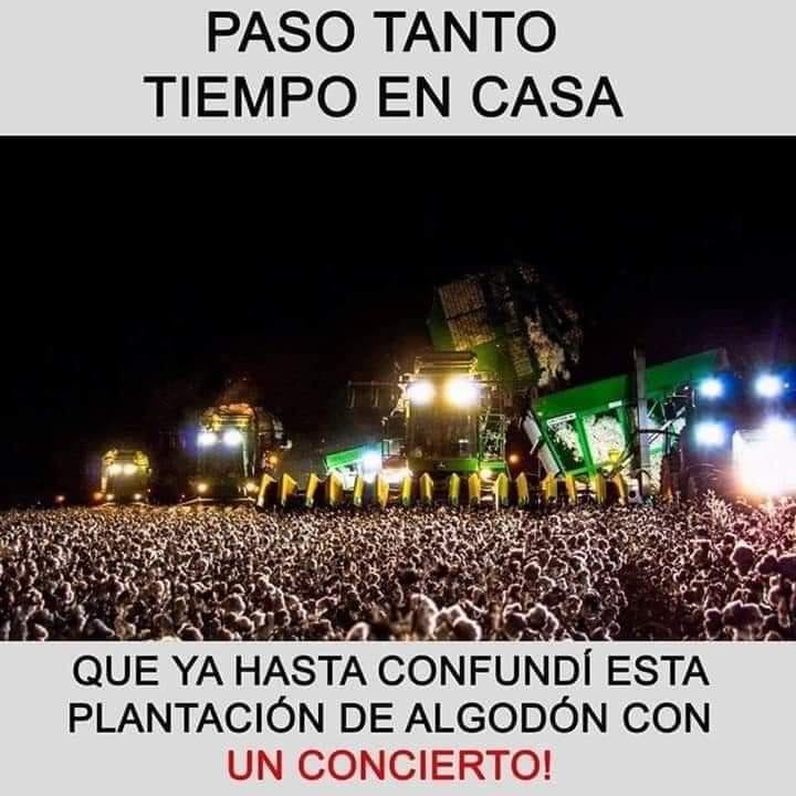 NoSoloMemes: Paso tanto tiempo en casa...