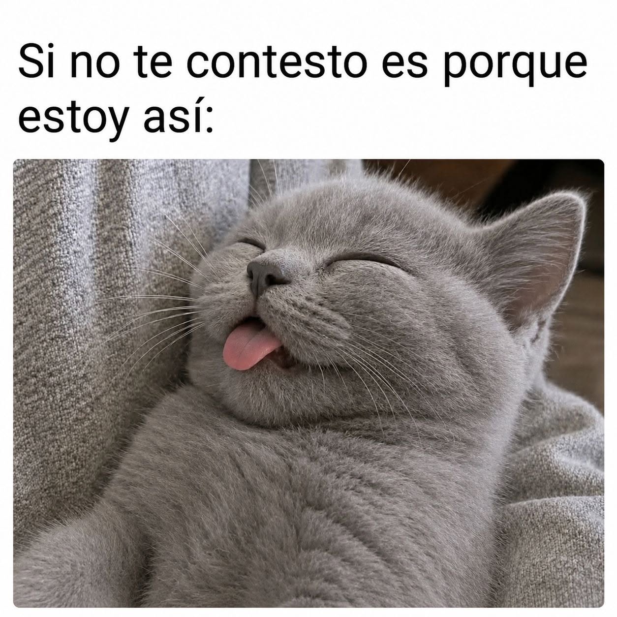 ¡Buenos días! Luego os veo... necesito un rato aún...