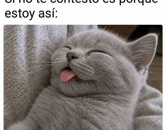 ¡Buenos días! Luego os veo... necesito un rato aún...