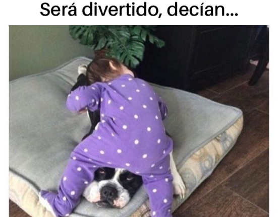 Mascotas y bebés...