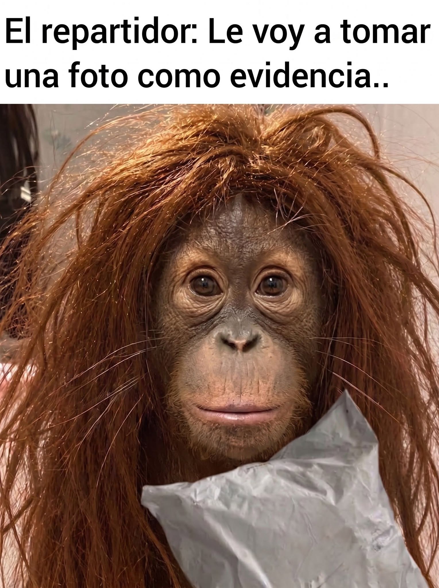 El repartidor siempre llegando en el mejor momento...