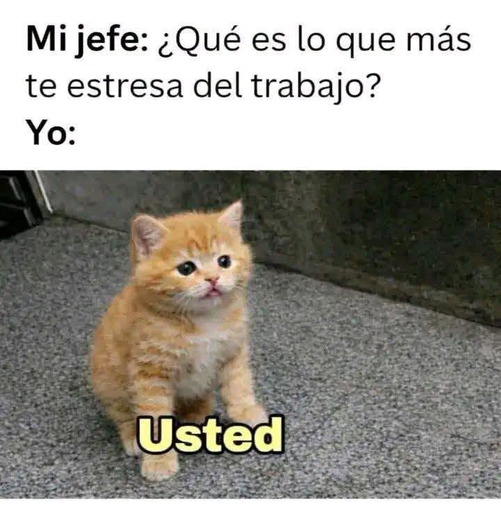 Yo soy muy sincero...