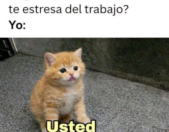 Yo soy muy sincero...