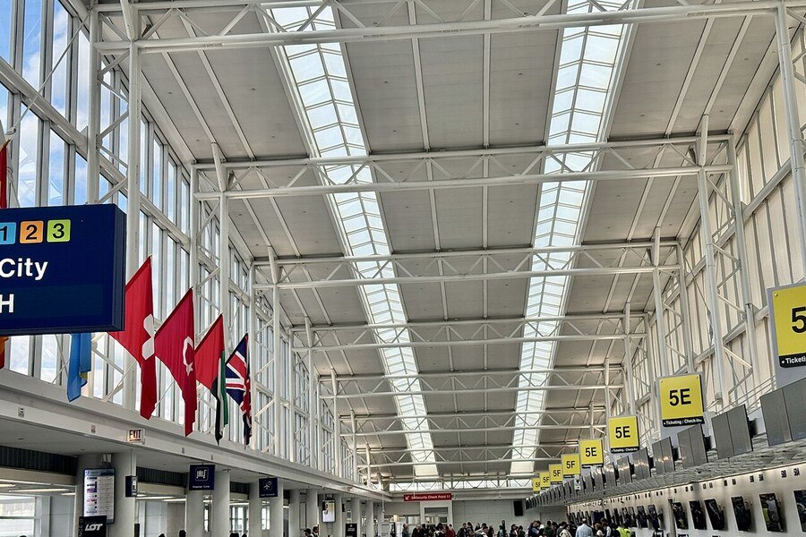 Un pájaro exótico se cuela en el aeropuerto de Chicago y la emprende a picotazos con los pasajeros